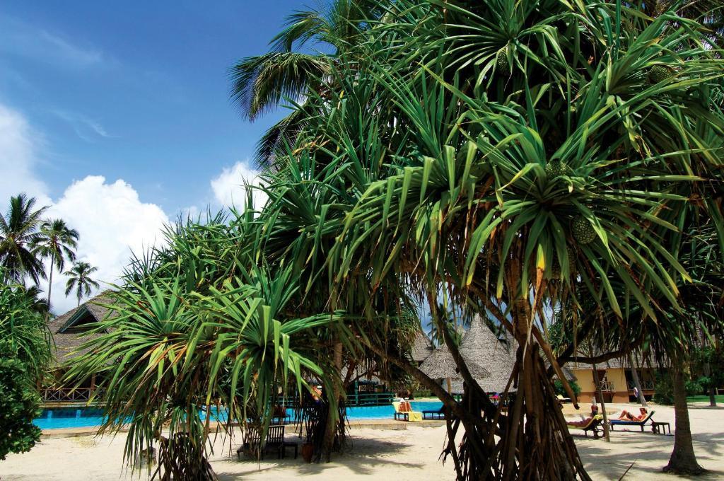 Neptune Pwani Beach Resort & Spa Zanzibar Kiwengwa  Exterior photo